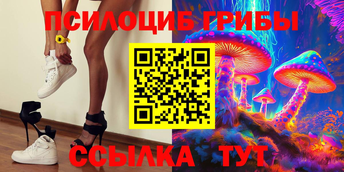Галлюциногенные грибы прущие грибы Петропавловск-Камчатский